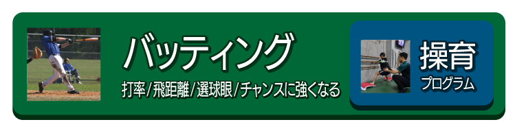 �o�b�e�B���O�̃}���c�[�}��